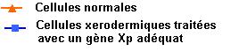 legende schema